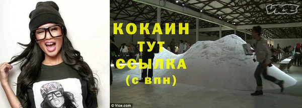 mdpv Богданович