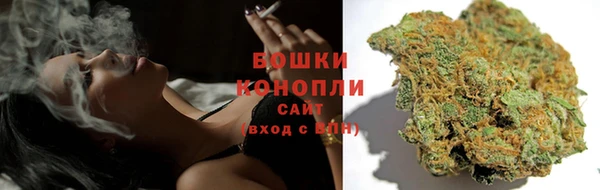mdpv Богданович