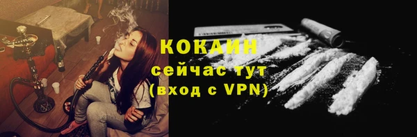 mdpv Богданович