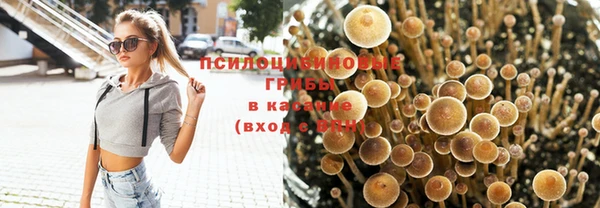 соль ск Богородицк