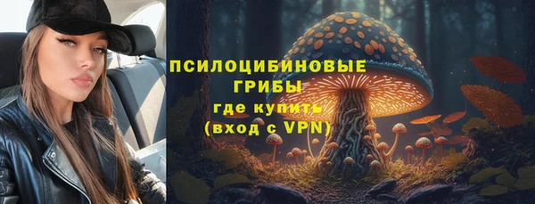 mdpv Богданович